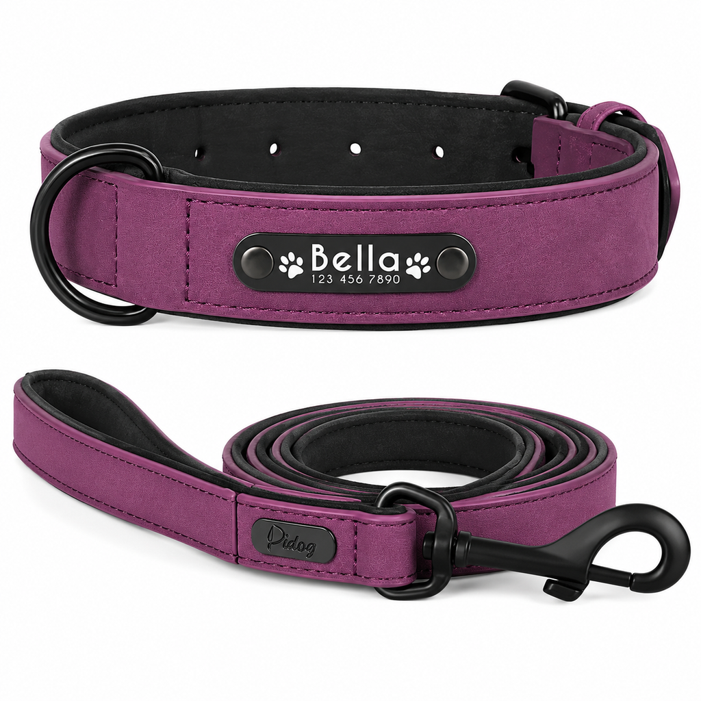 Ensemble Collier et Laisse en Cuir Personnalisé pour Chien avec Plaquette d'Identification