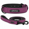 Conjunto de Coleira e Trela Personalizados em Couro para Cães com Placa de Identificação