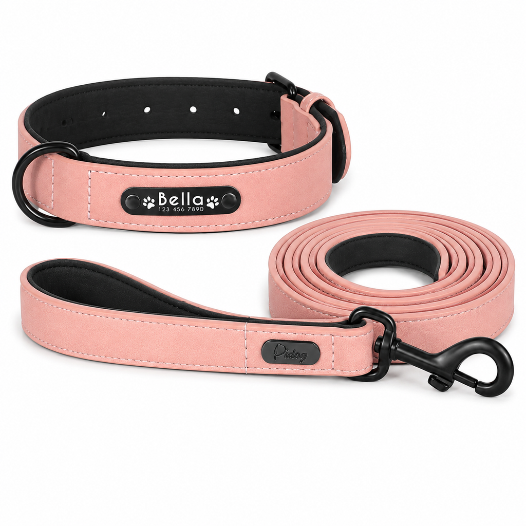 Ensemble Collier et Laisse en Cuir Personnalisé pour Chien avec Plaquette d'Identification