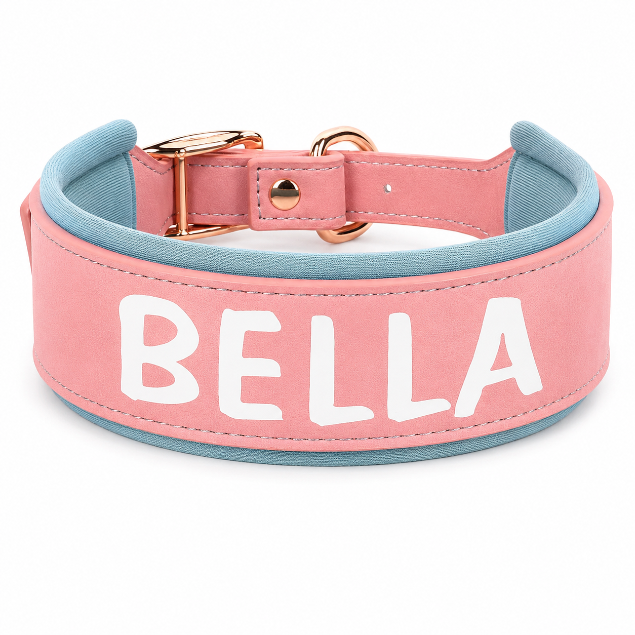 Collier personnalisé en cuir rembourré pour chiens de taille moyenne à grande