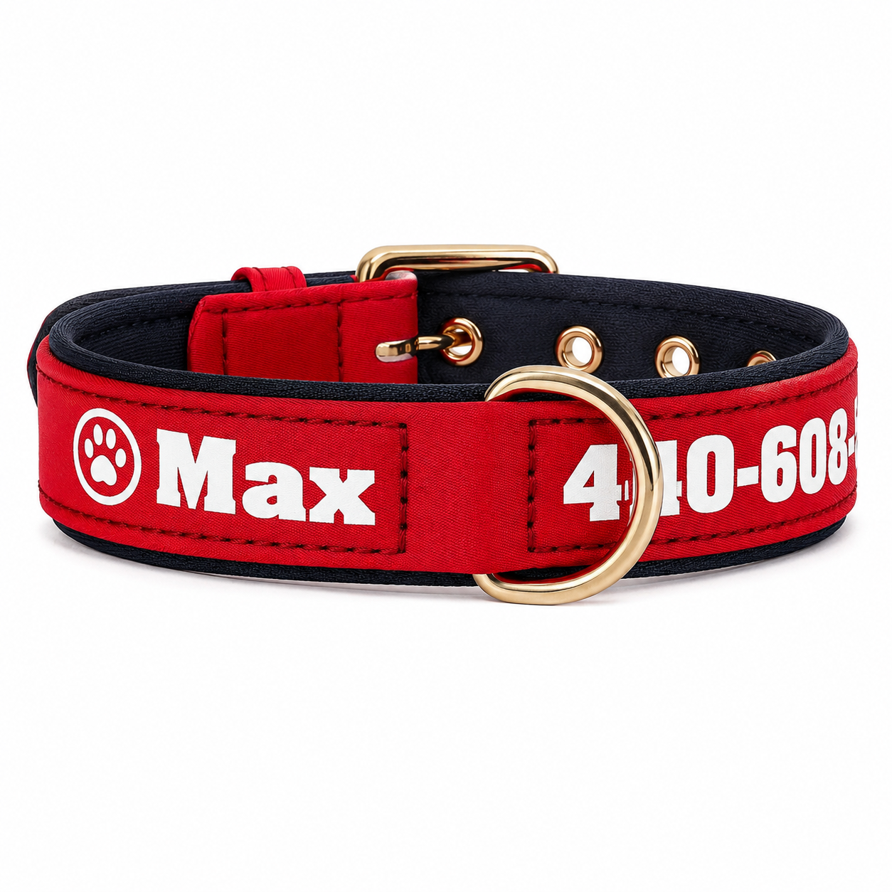 Collier pour chien en cuir personnalisé avec nom gravé et doublure matelassée