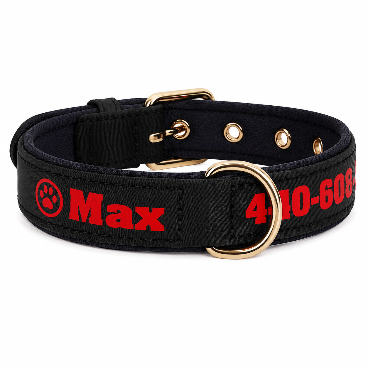 Collier pour chien en cuir personnalisé avec nom gravé et doublure matelassée