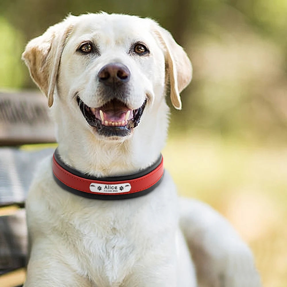 Coleira Personalizada em Couro para Cães de Grande Porte com Placa de Identificação Gravada