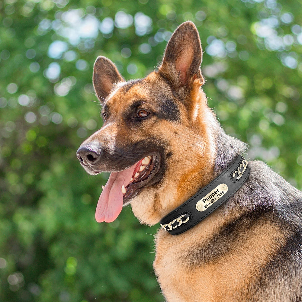 Coleira Personalizada em Couro para Cães com Placa de Identificação Gravada