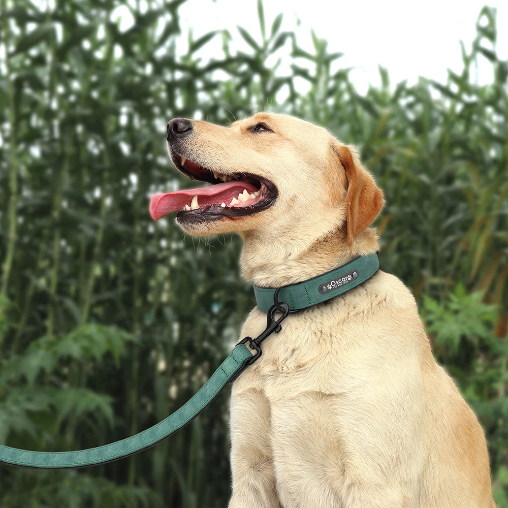 Ensemble Collier et Laisse en Cuir Personnalisé pour Chien avec Plaquette d'Identification