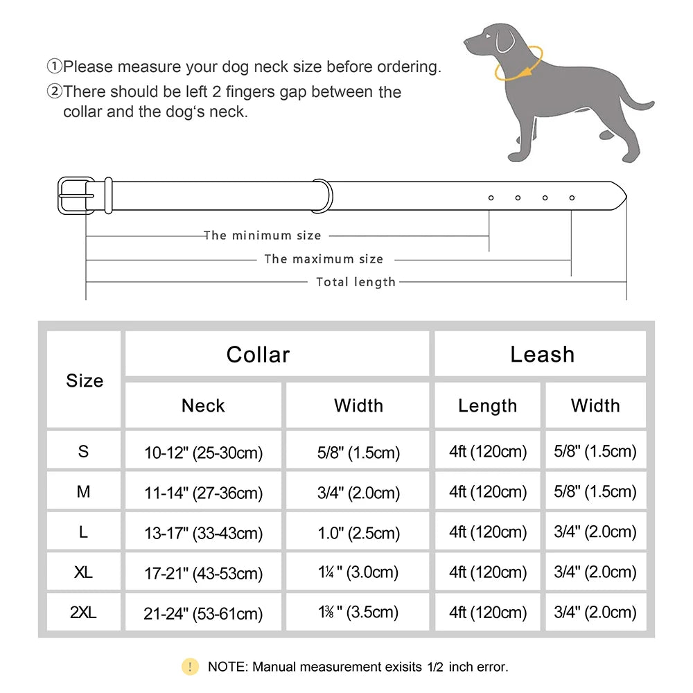 Ensemble Collier et Laisse en Cuir Personnalisé pour Chien avec Plaquette d'Identification