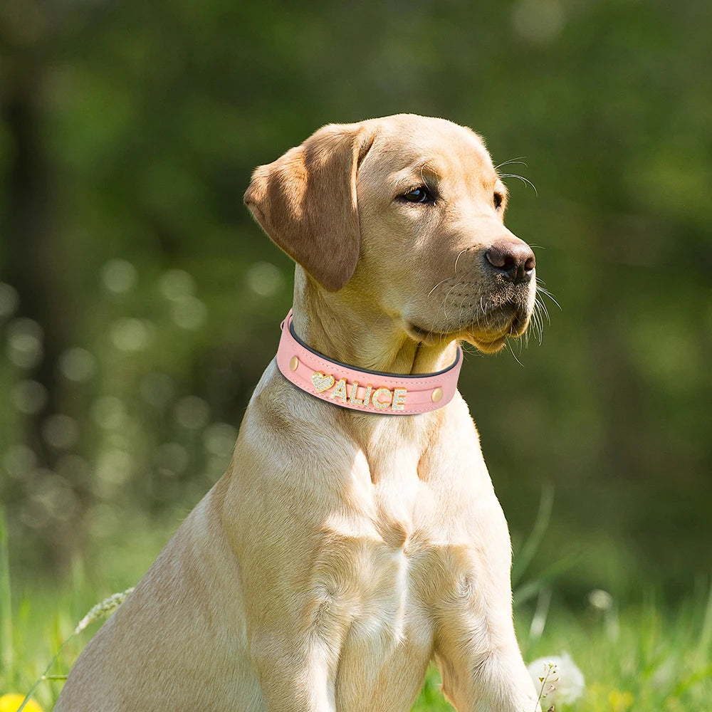 Coleira Personalizada em Couro PU Acolchoado com Strass para Cães | Pingente Gravado