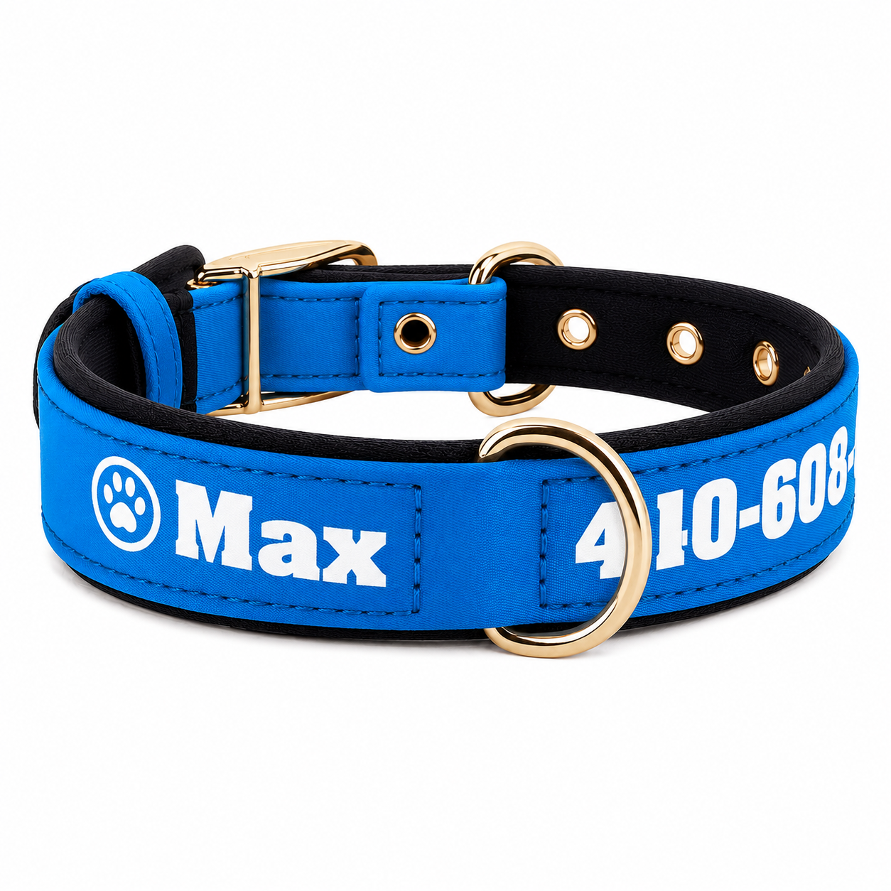 Collier pour chien en cuir personnalisé avec nom gravé et doublure matelassée