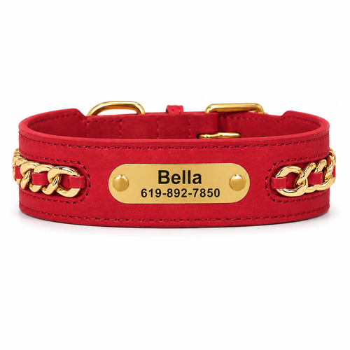 Collier pour chien en cuir personnalisé avec plaque d'identité gravée