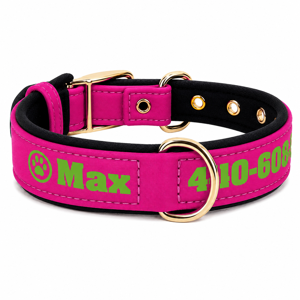 Collier pour chien en cuir personnalisé avec nom gravé et doublure matelassée