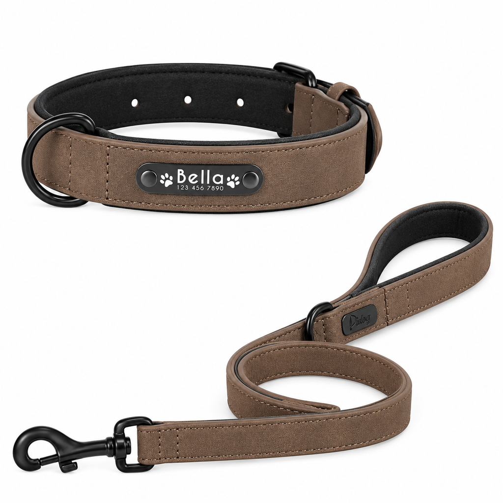 Ensemble Collier et Laisse en Cuir Personnalisé pour Chien avec Plaquette d'Identification