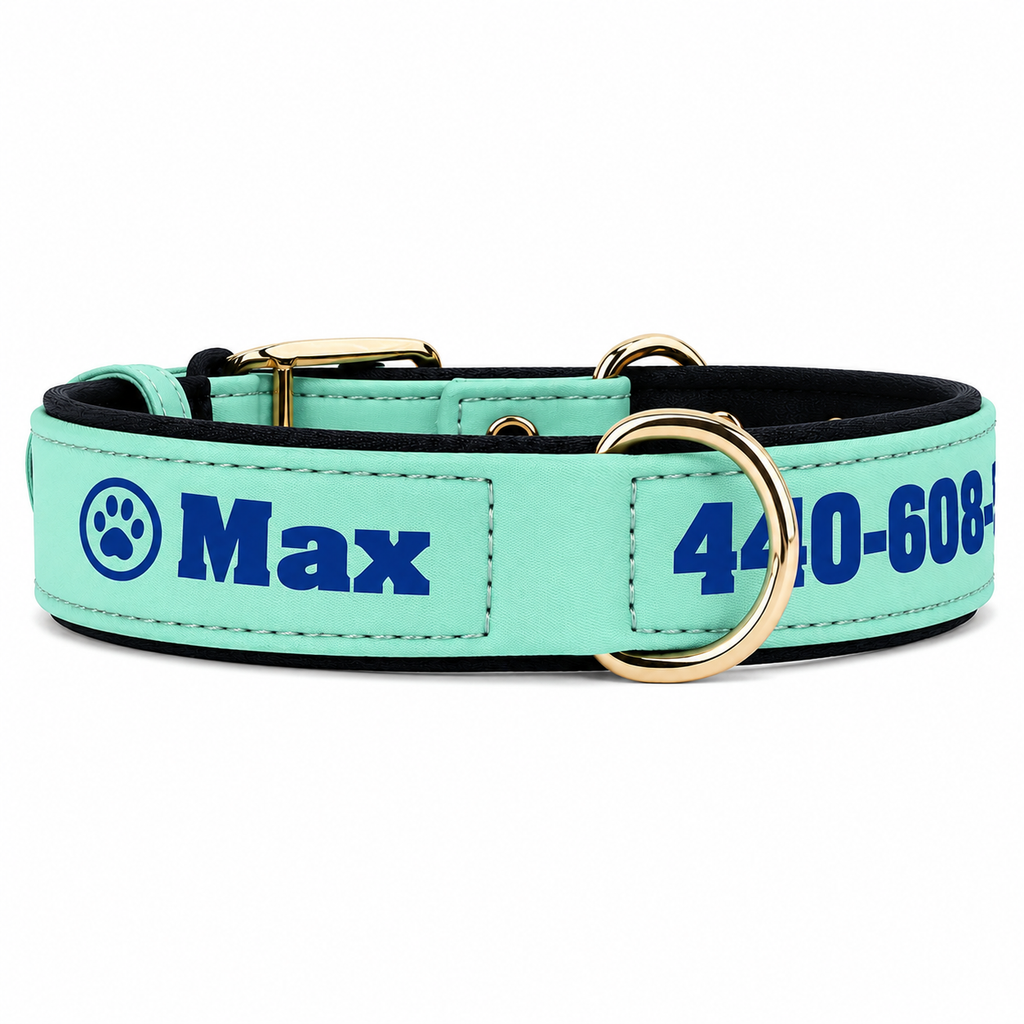Coleira de Couro Personalizada para Cães com Nome Gravado e Acolchoamento