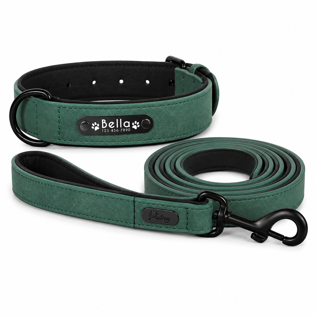 Ensemble Collier et Laisse en Cuir Personnalisé pour Chien avec Plaquette d'Identification