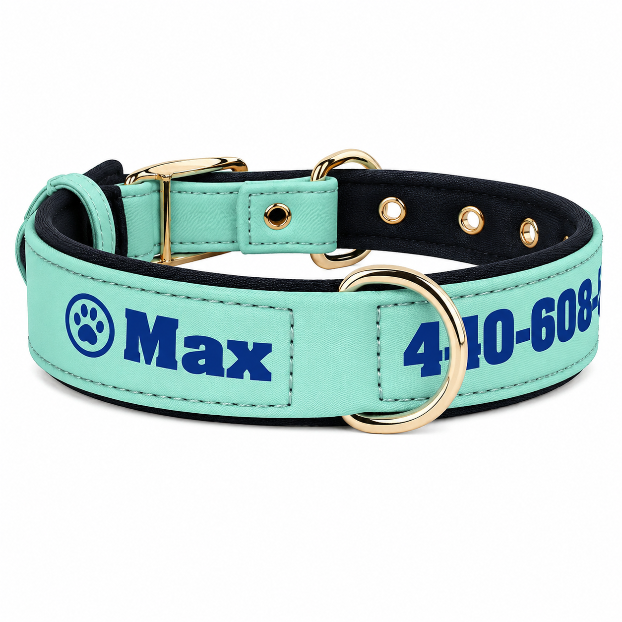 Collier pour chien en cuir personnalisé avec nom gravé et doublure matelassée
