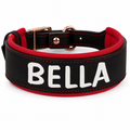 Coleira Personalizada em Couro Acolchoado para Cães de Médio e Grande Porte